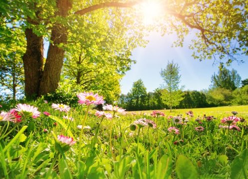 tomi tweet media