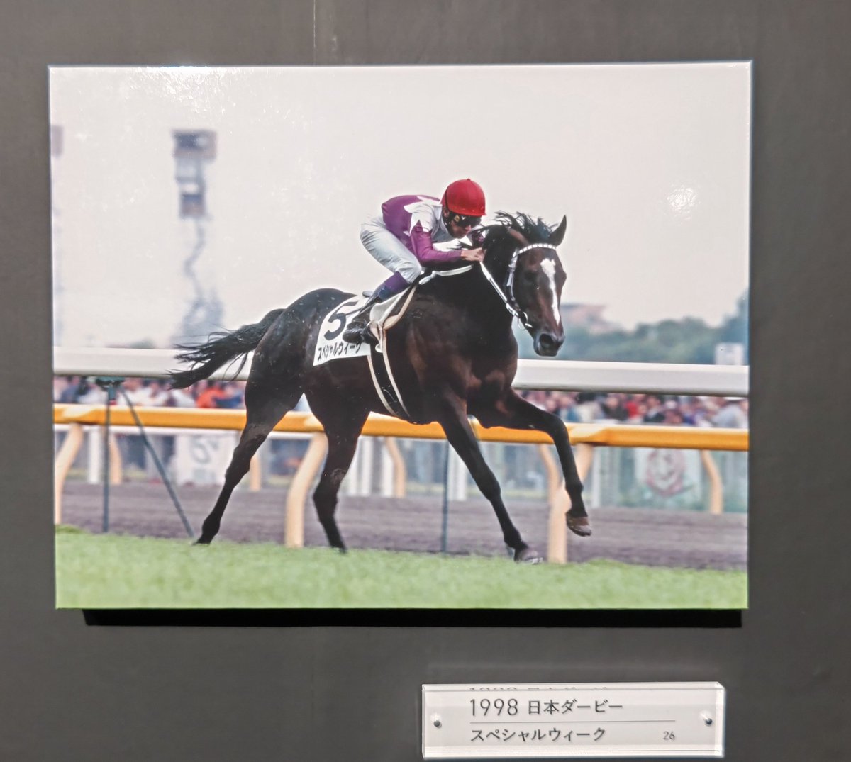 98年牡馬三冠　単勝馬券　セイウンスカイ　スペシャルウィーク　キングヘイロー スペシャルウィークは1995年の5月2日に誕生。98年🇯🇵日本ダービーでは