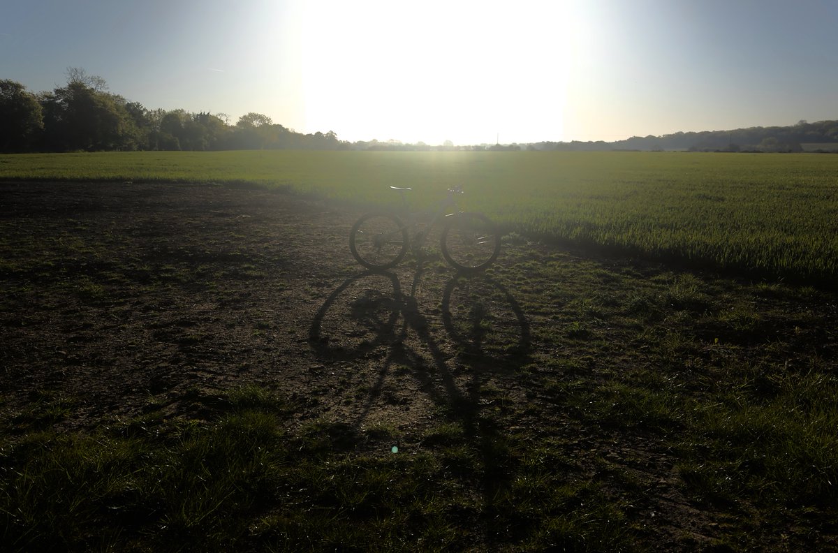 rrrooobbbppp's tweet image. A Photo A Ride 2026 No.21  
#photography #mtb #cycling #mountainbike #Pixel6 #madebypixel #darktable #morning