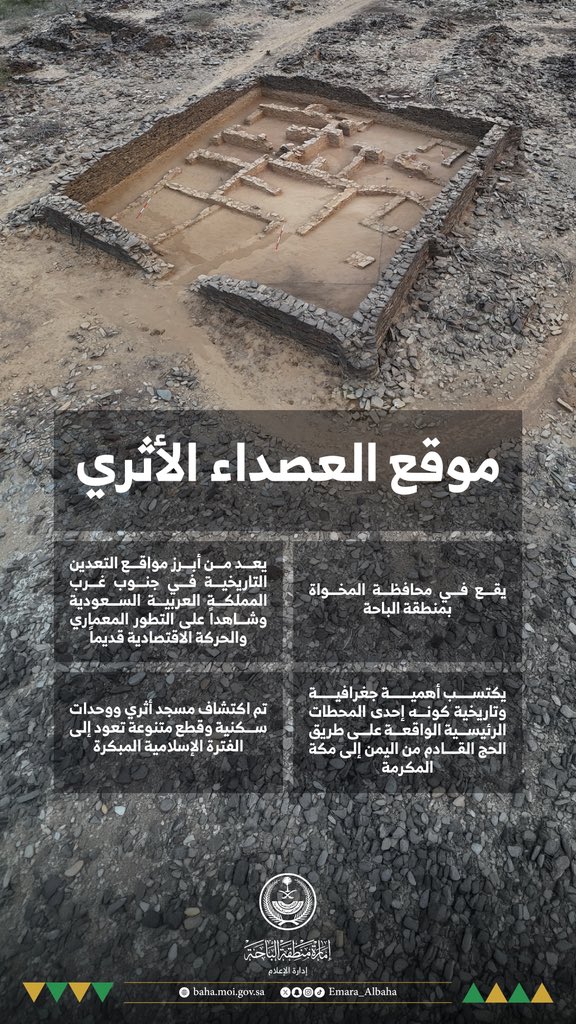 البيرق tweet media