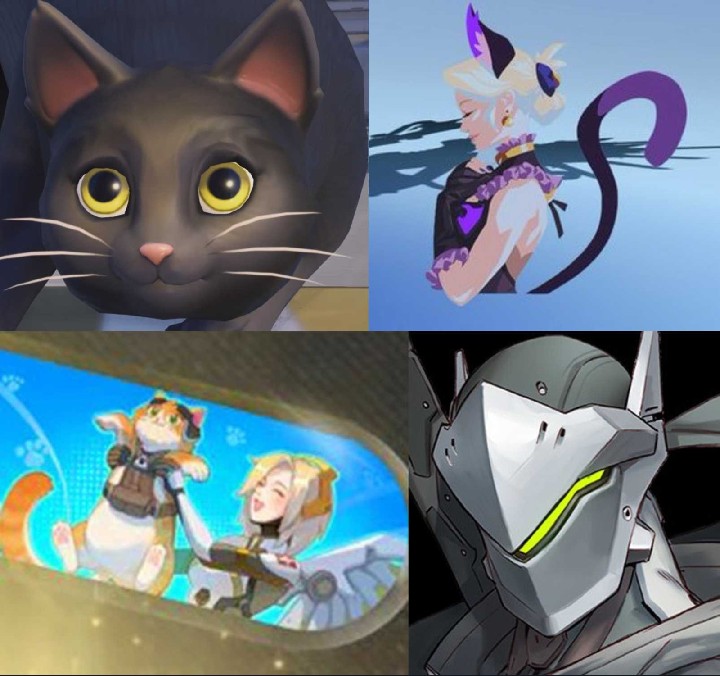 JustBeKind85's tweet image. Angela Ziegler aka Mercy from Overwatch said that she does indeed LOVE cats. ...Pass it on 💚💛

#genji #gency #mercy #overwatch #videogames