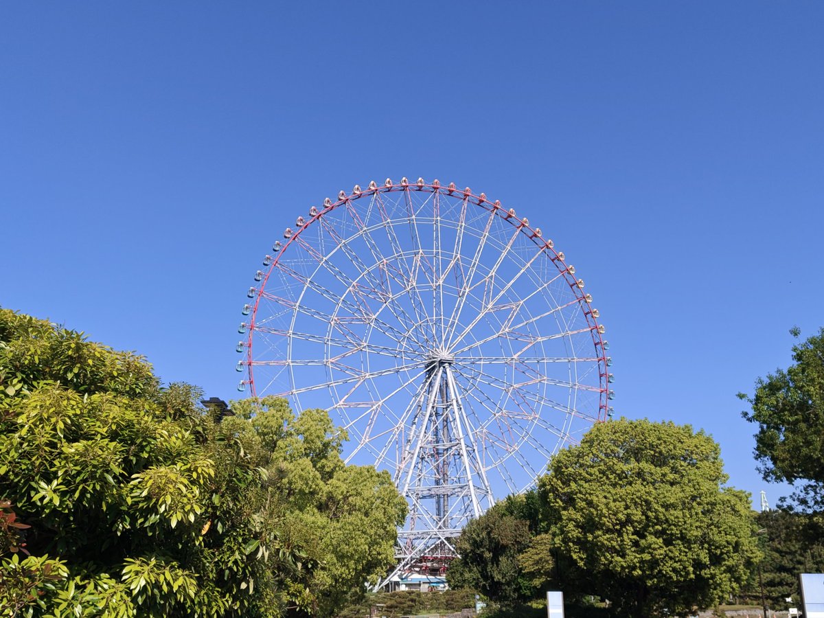 ʚはーちみⅱɞ🍥🍜(ฅ˙Ⱉ˙ ฅ ) tweet media