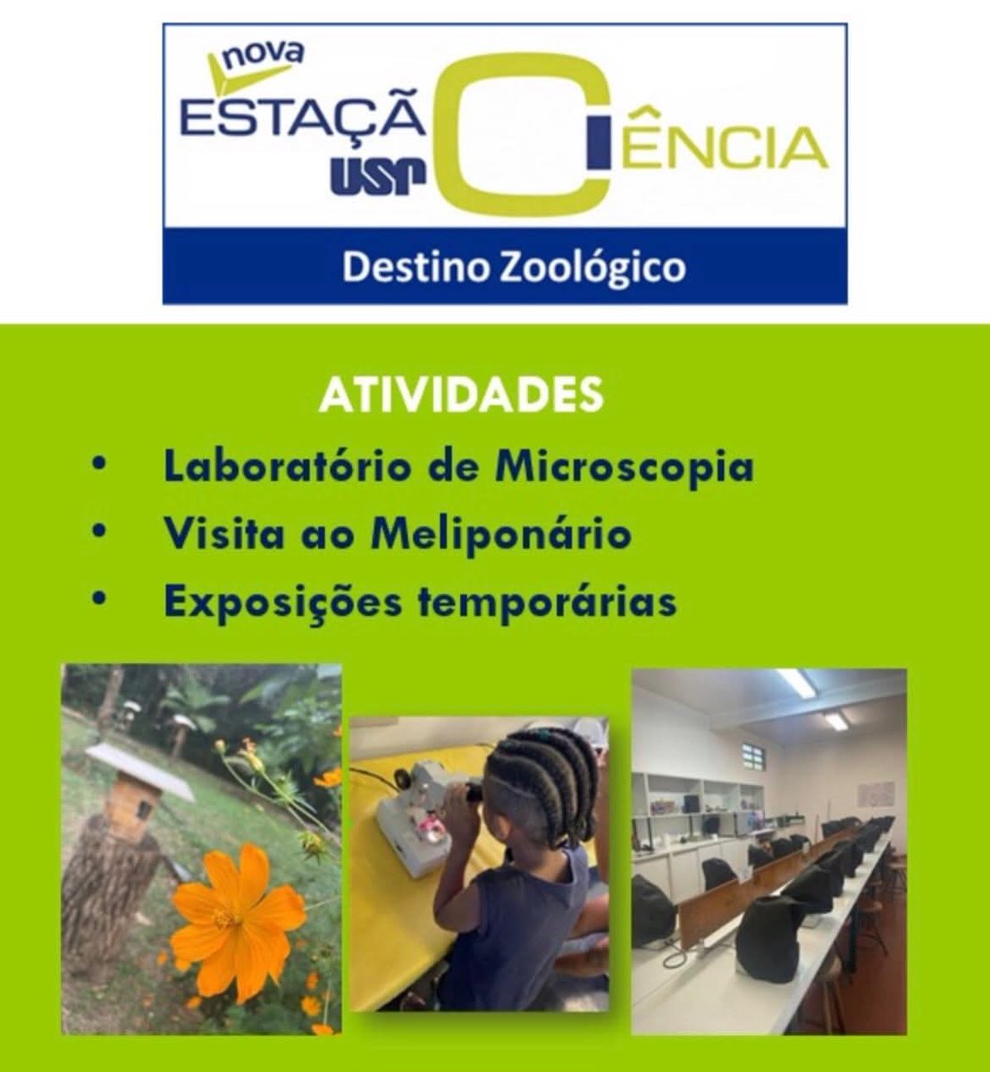 chuqueira autoclavada tweet media