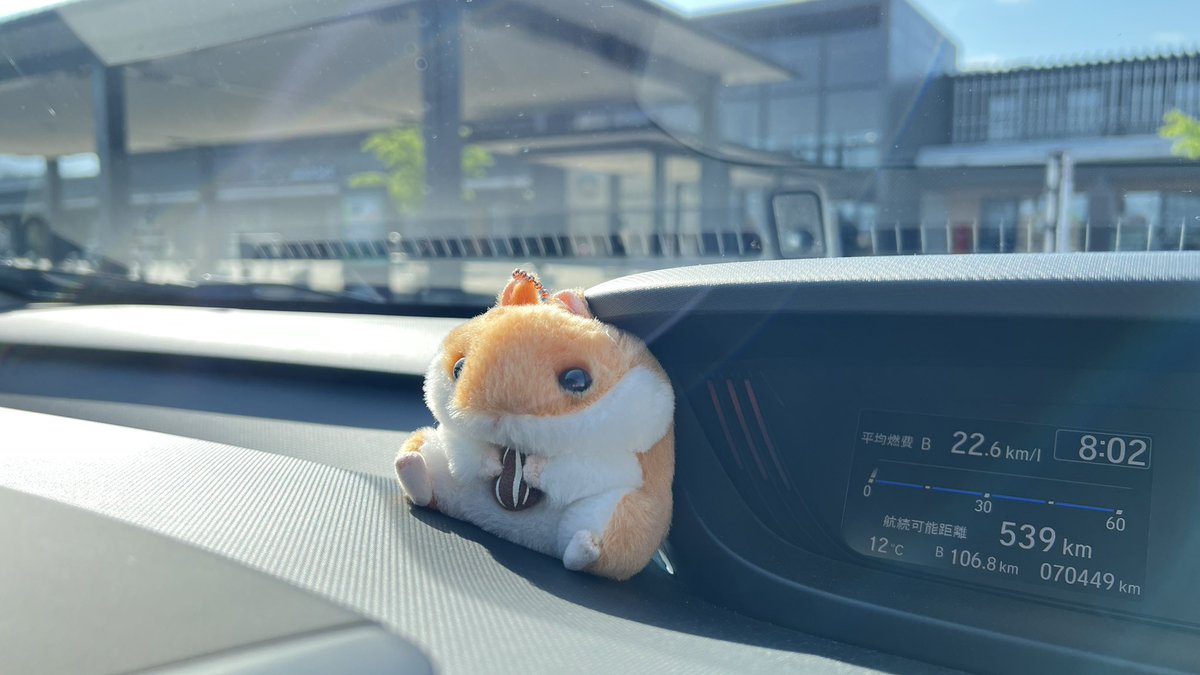 おはよう！ 福井だよハムちゃん！！