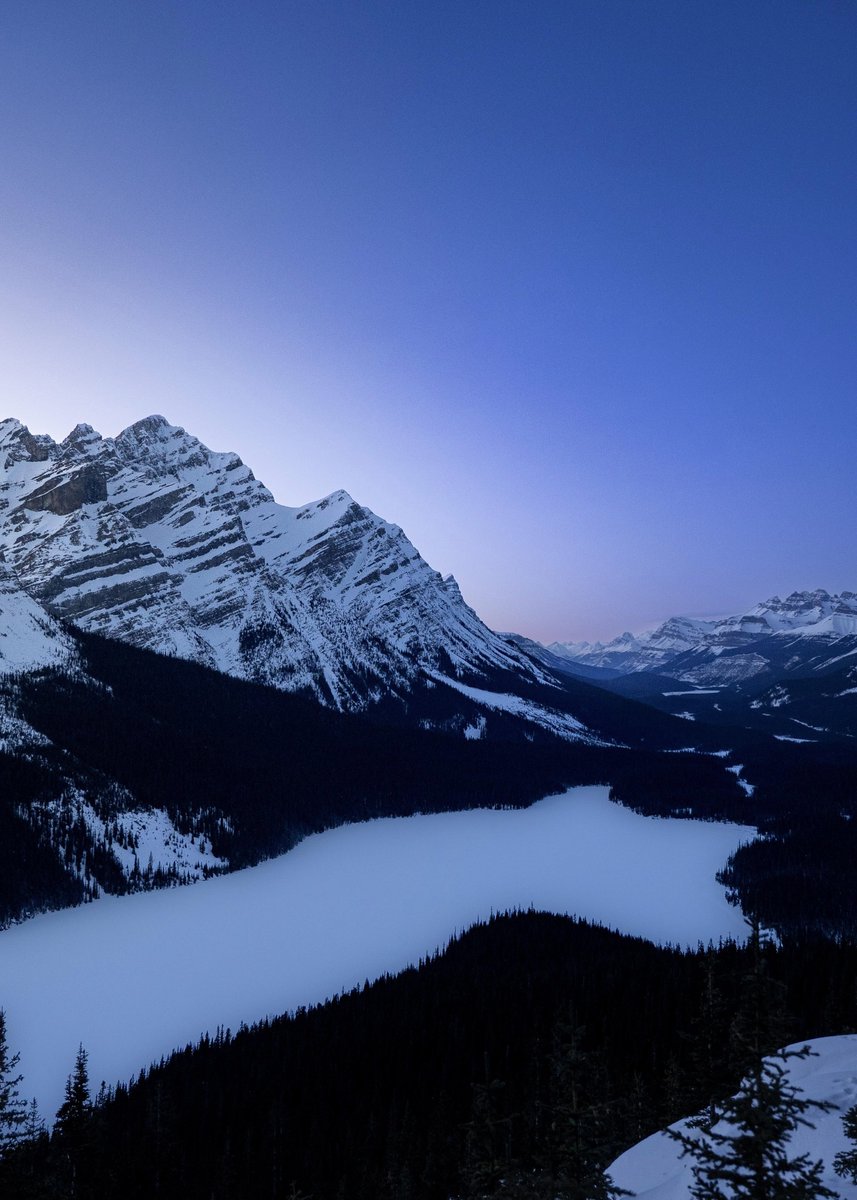 canh_tuan37981's tweet image. Winter Blue hour at Peyto Lake, Canada [2624 × 3674][OC]
#Scenery #Tense