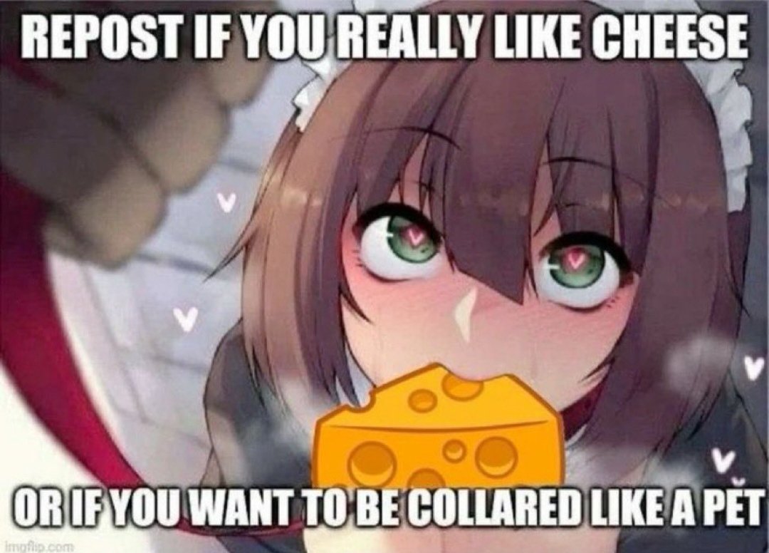 Fern tweet media