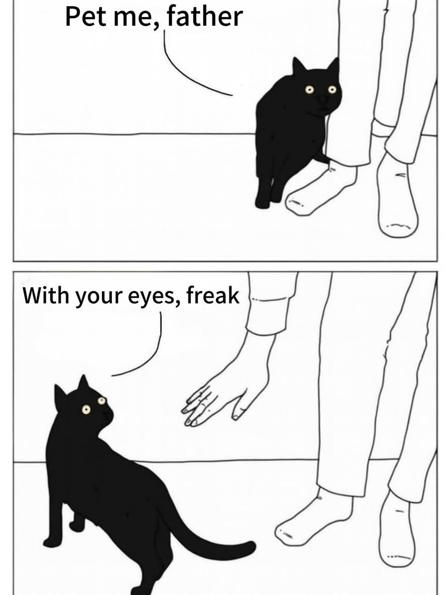 Catsillyness's tweet photo. https://t.co/ljzcdrBPPe