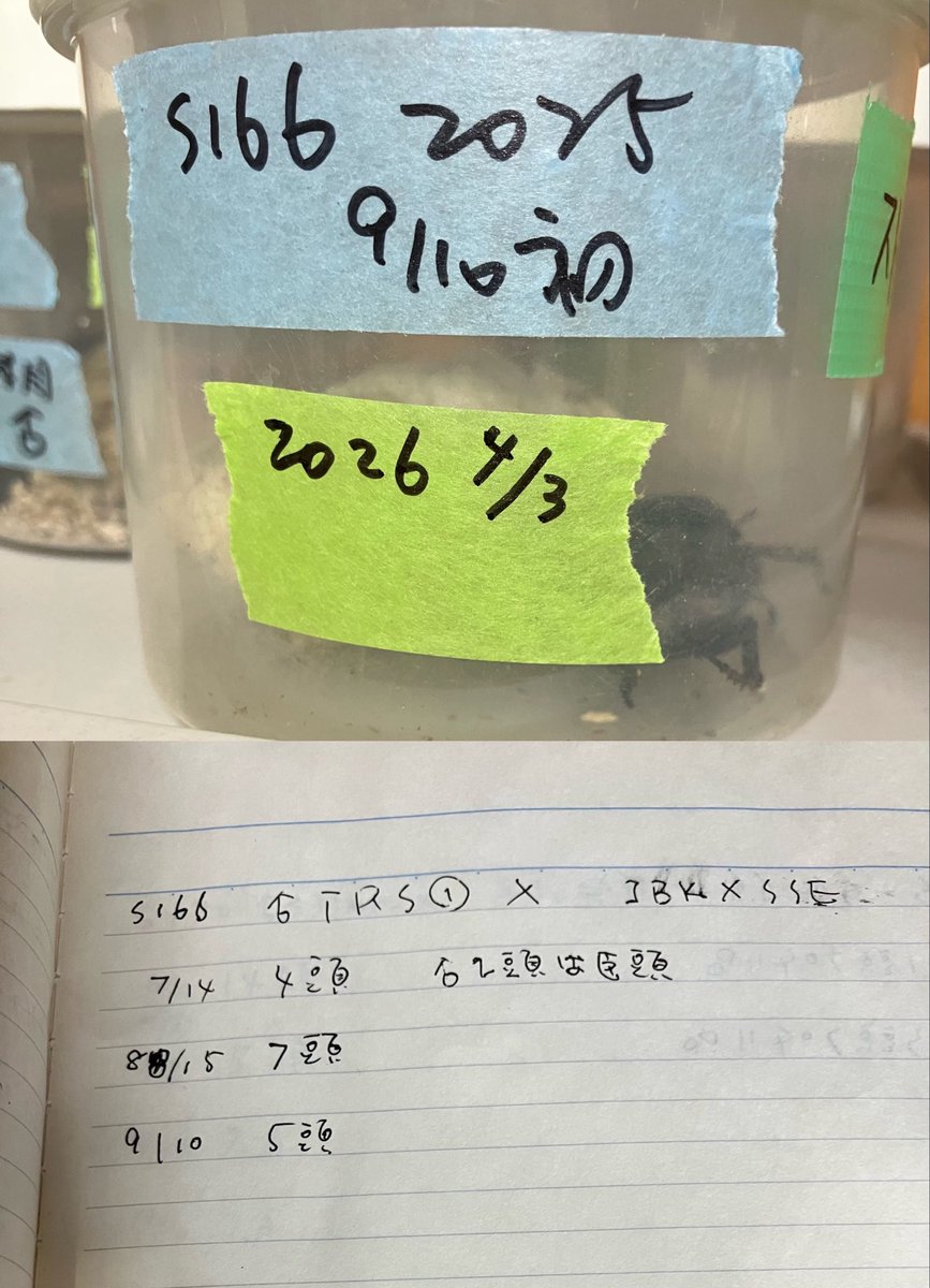 こう tweet media