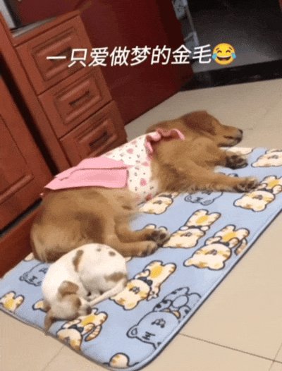 繰繰れ！イースト君 tweet media