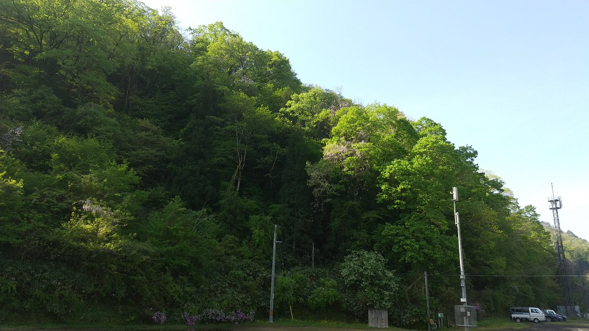 しろ凸たん＠伯耆国立伯州学園中等部 tweet media