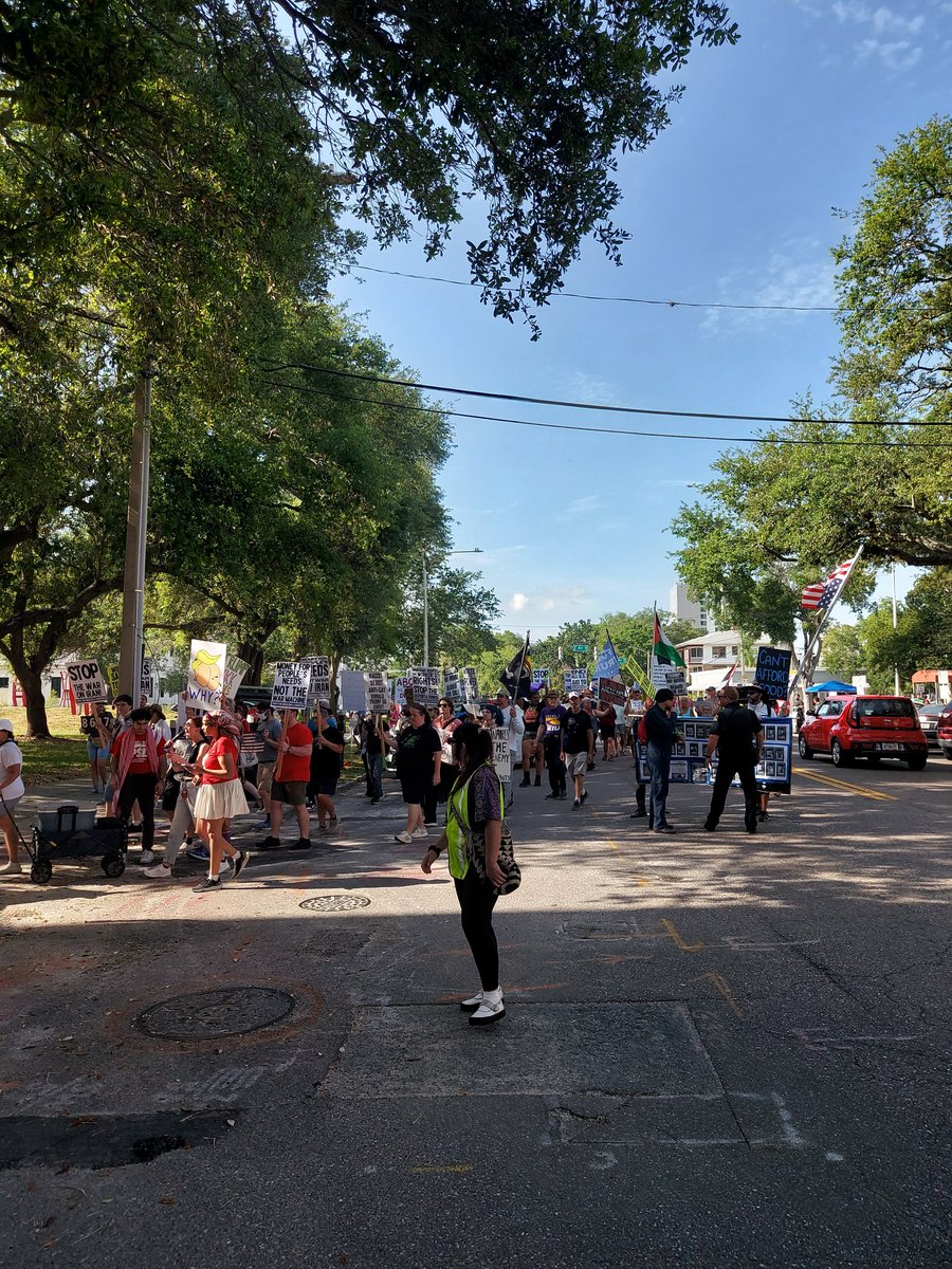 Pinellas DSA 🌹 tweet media