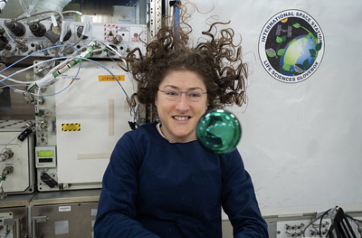 Moon Joy👩🏼‍🚀🚀 tweet media