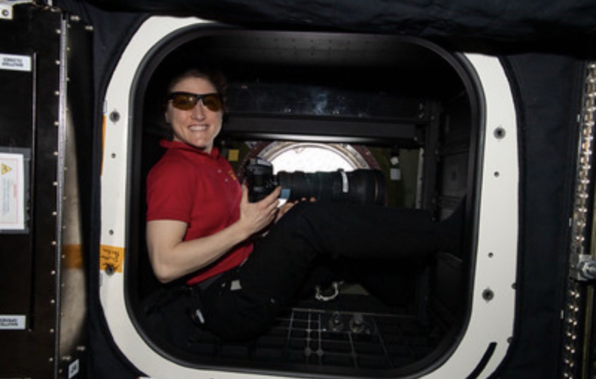 Moon Joy👩🏼‍🚀🚀 tweet media