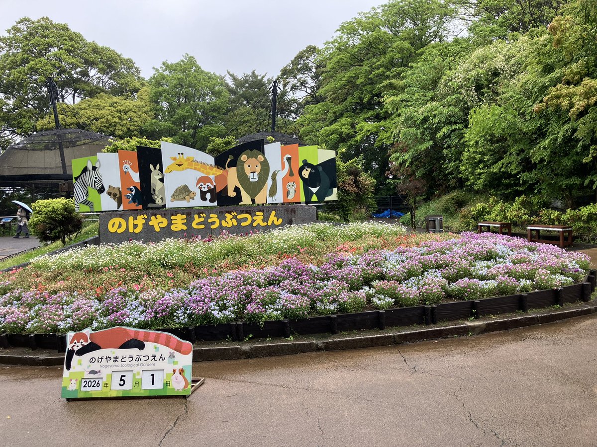 るみこ、とみぃ tweet media