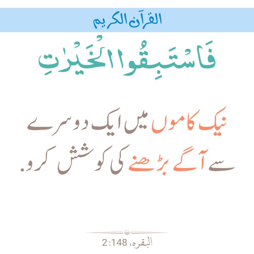 mehwish Ameen tweet media