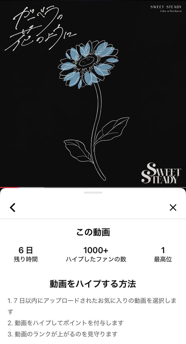 SWEET STEADY【Official】 tweet media