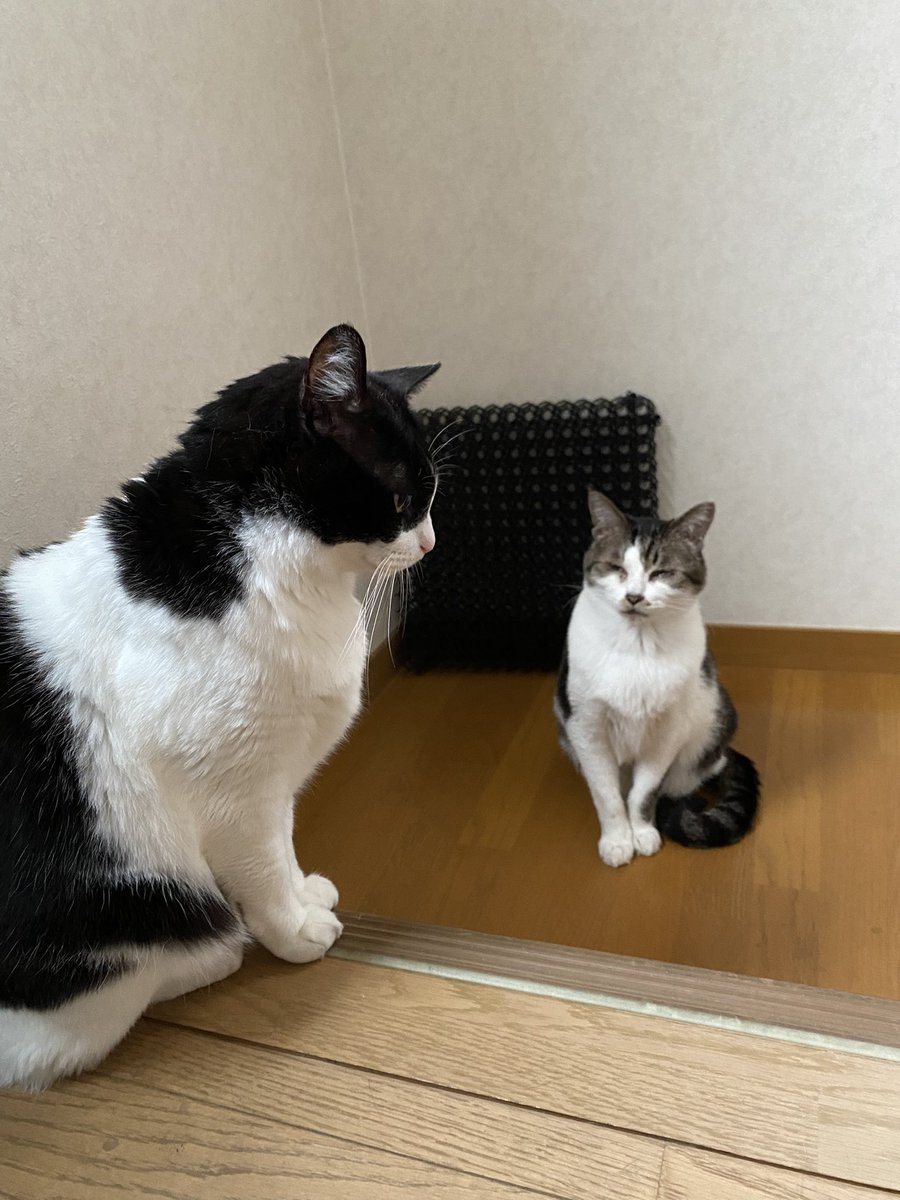 左 tweet media