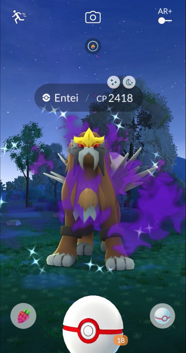 Salo0ooo_'s tweet image. 🛑Ritual invocación de Shadow Entei Shundo🛑 

                    🕯     🕯
           🕯                       🕯
                    ✨️✨️✨️
       🕯️        🍀🙏🔥      🕯️
                    ✨️✨️✨️
#PokemonGO 
#entei
#shiny