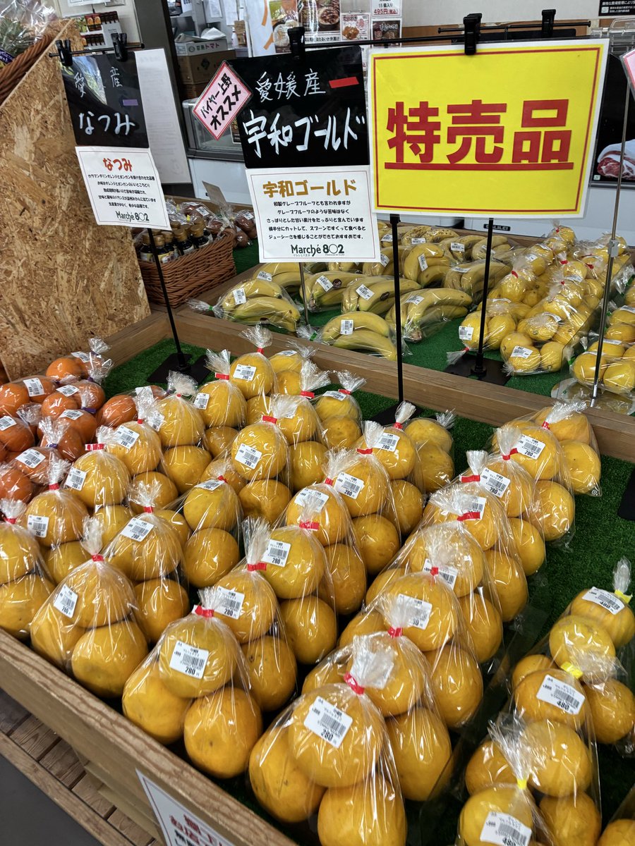 GW中は市場仕入れのきゅうりやピーマン、りんごや柑橘などお買い得価格