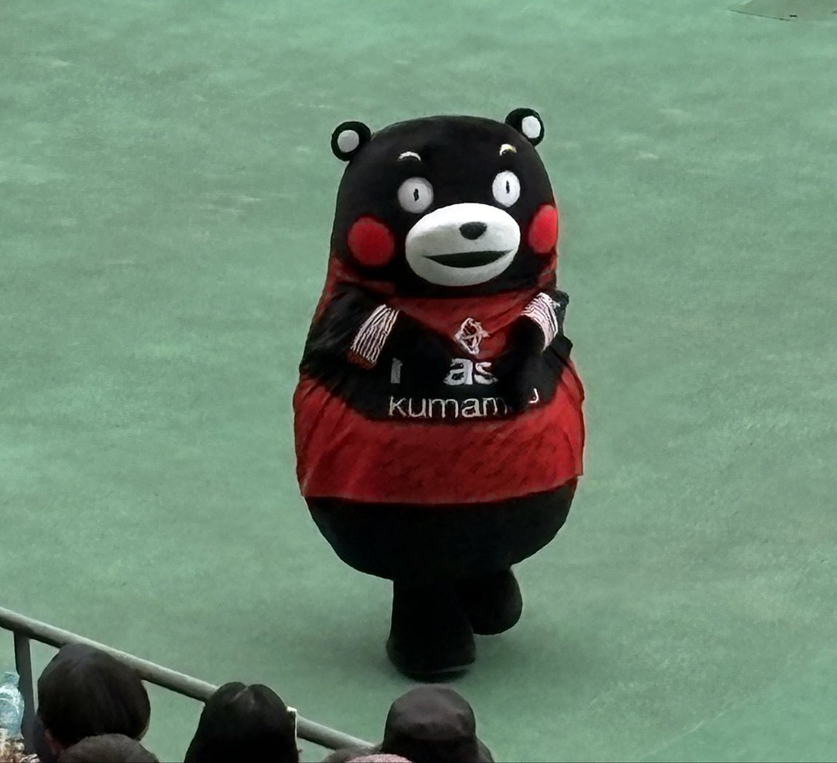 ピーちゃん tweet media