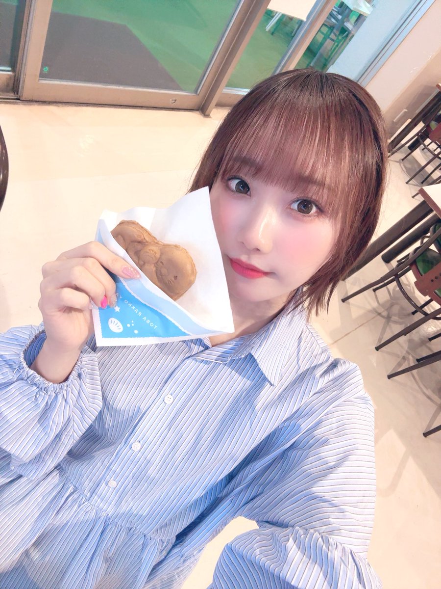 Post by みっちゃん on X: こんにちは