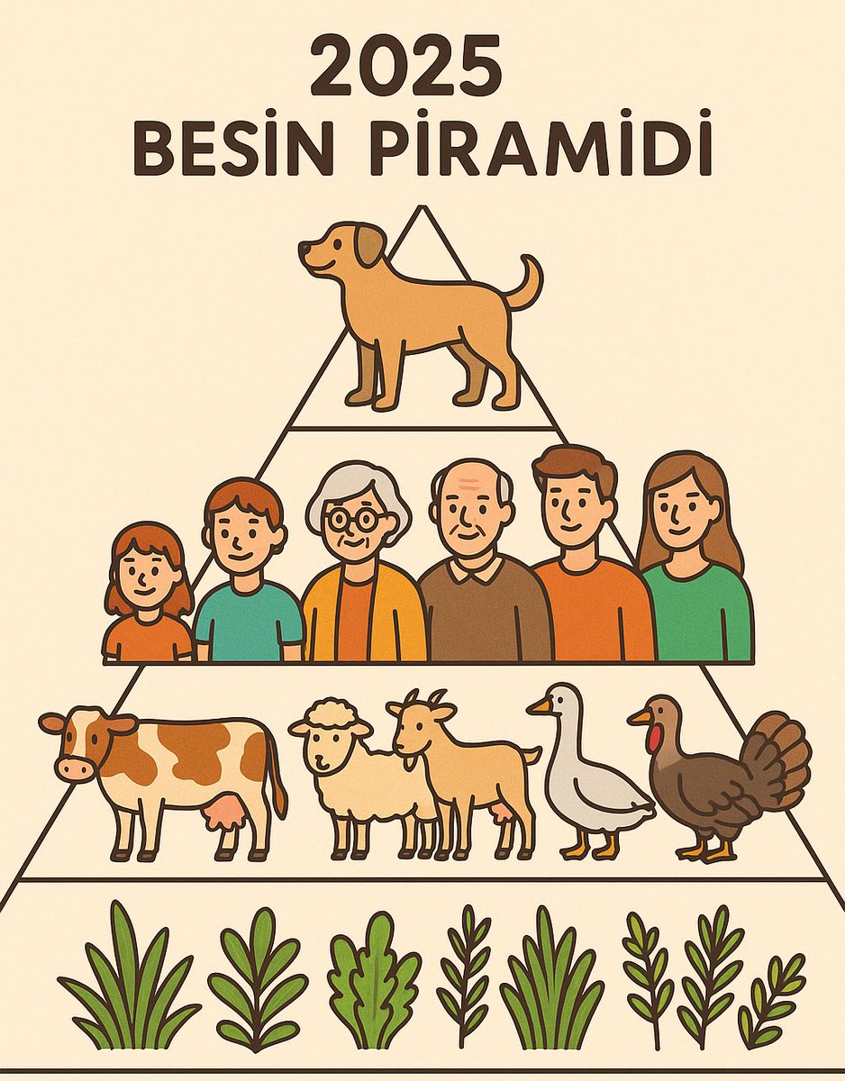 Murat Okcu tweet media