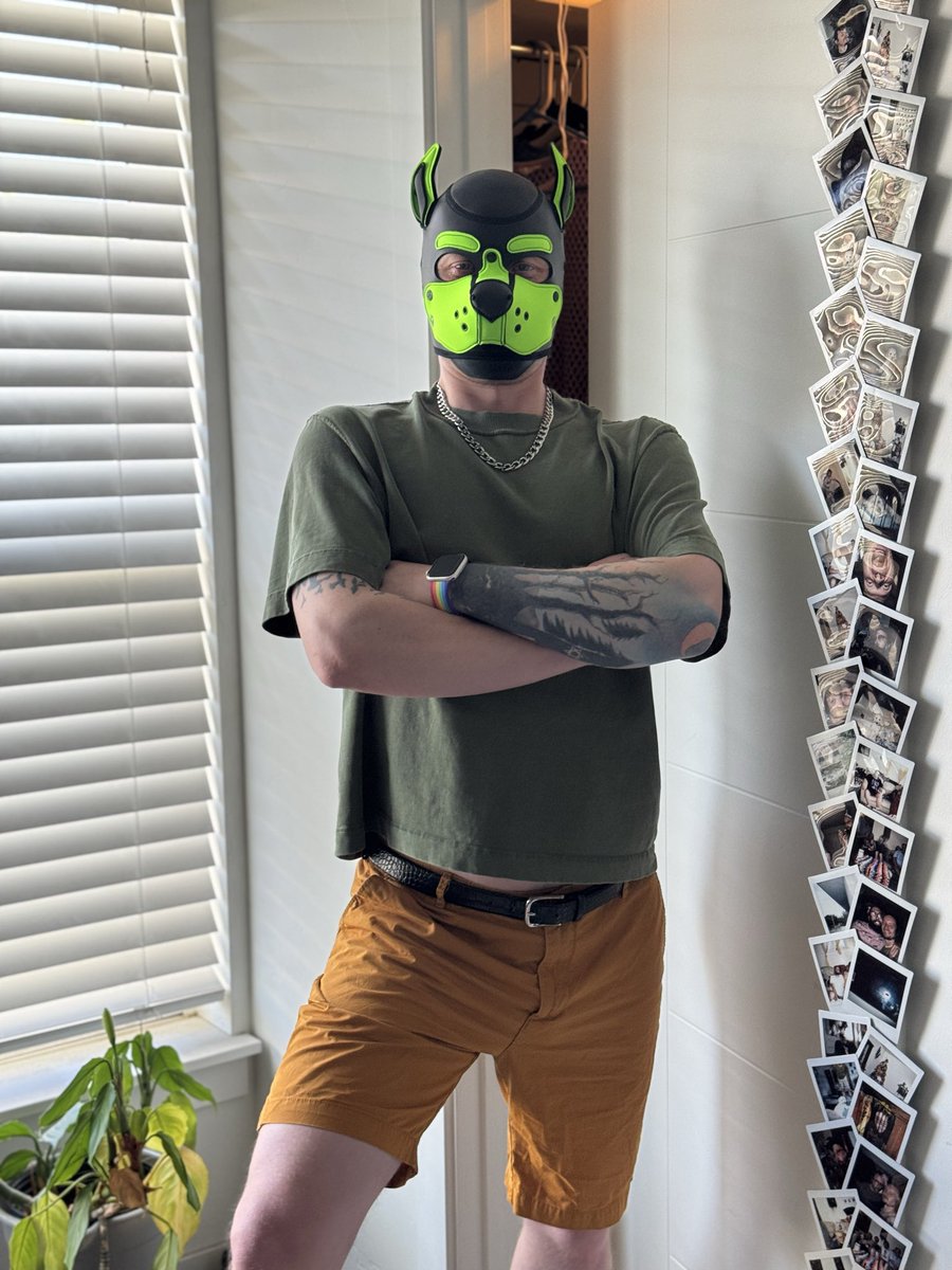 Pup Gymothy tweet media