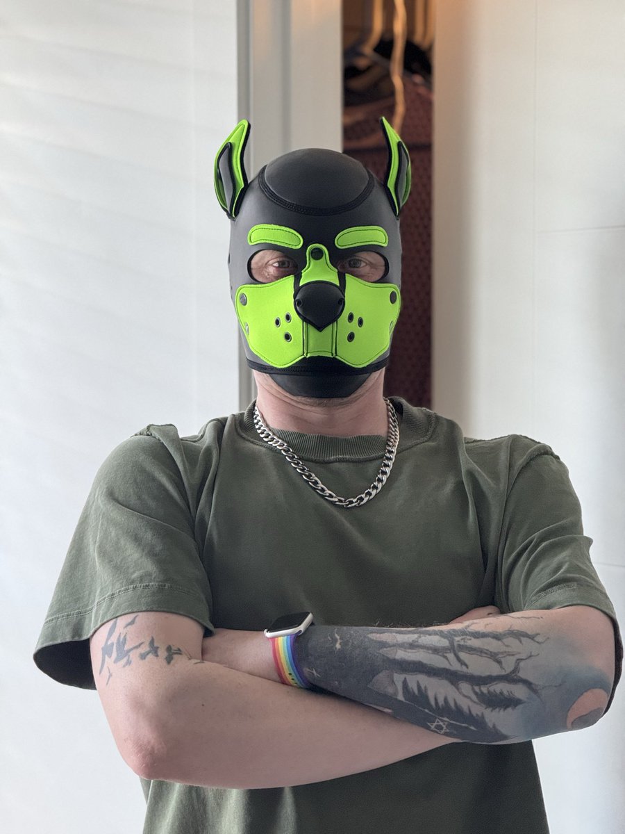 Pup Gymothy tweet media