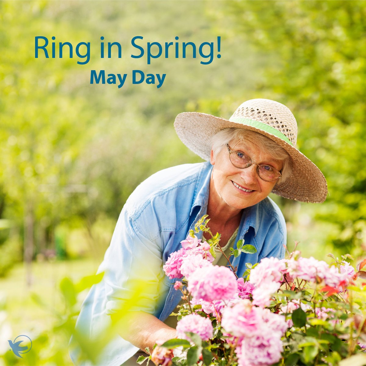 VisAngels_MD's tweet image. May Day is a celebration of renewal, growth, and the beauty of new beginnings. As flowers bloom and days grow brighter, it’s the perfect time to embrace fresh energy and positive moments.

#MayDay #HelloMay #NewMonthNewGoals #SpringVibes #FreshBeginnings #PositiveEnergy
