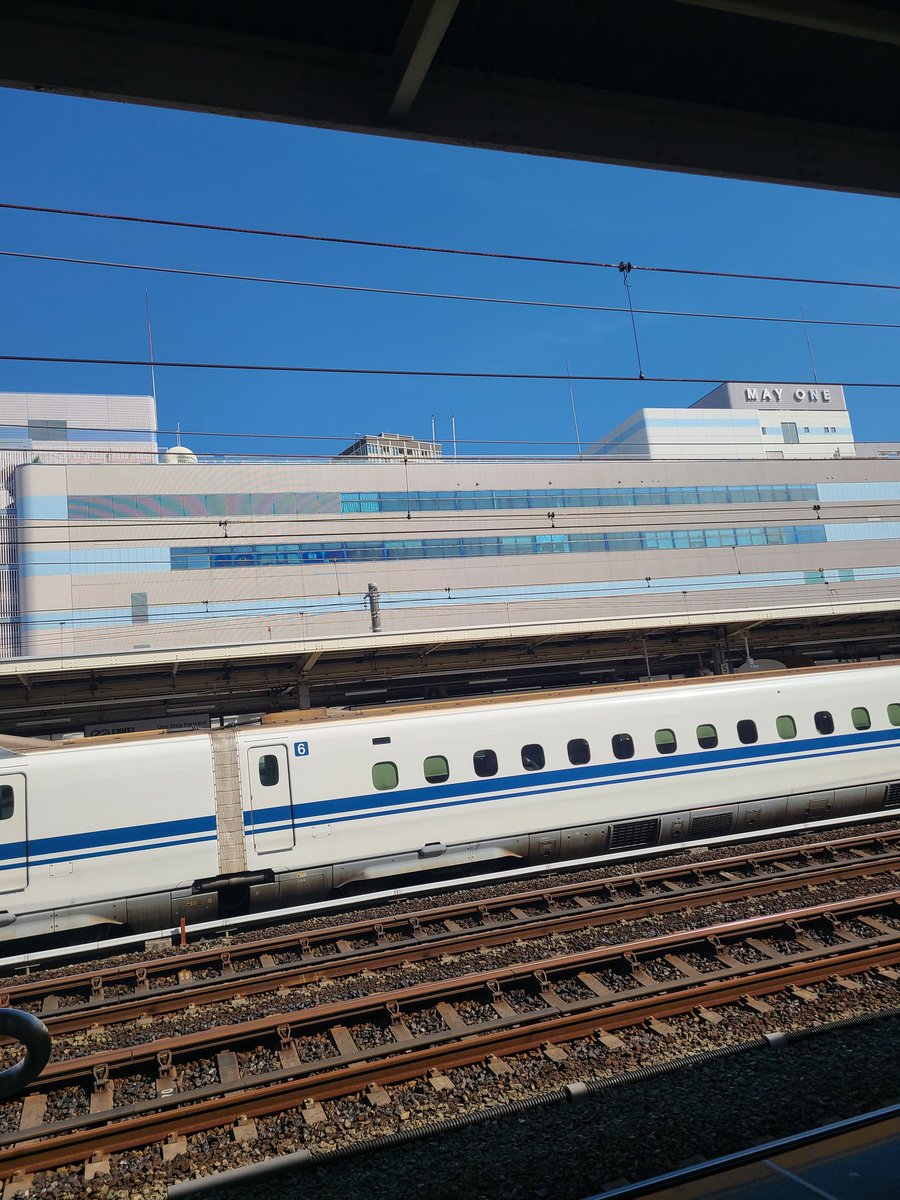 おまみ♡ tweet media