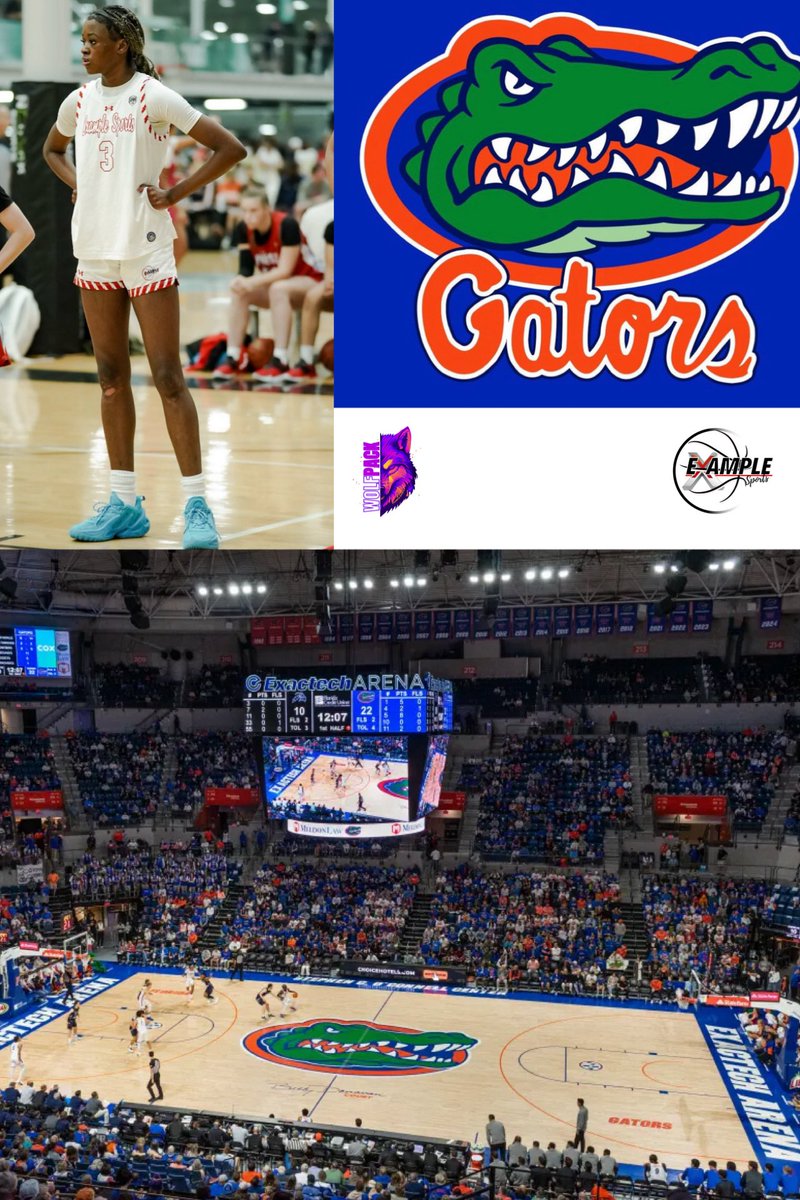 Example Sports AAU tweet media