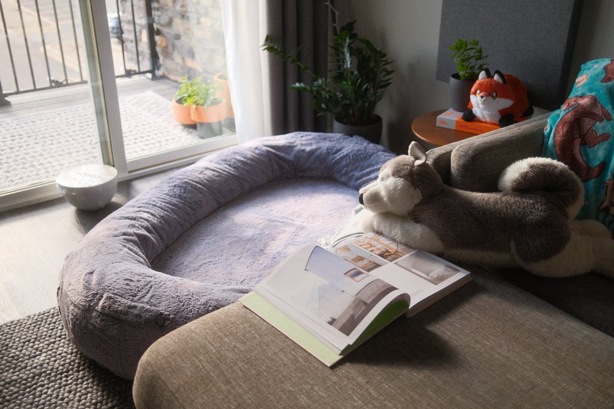 ElevativePro's tweet photo. Reading an architecture book as I wait for my bread to rise in the sunlight, listening to the birds outside.

Perfect Friday. https://t.co/8aMDJPJgNj