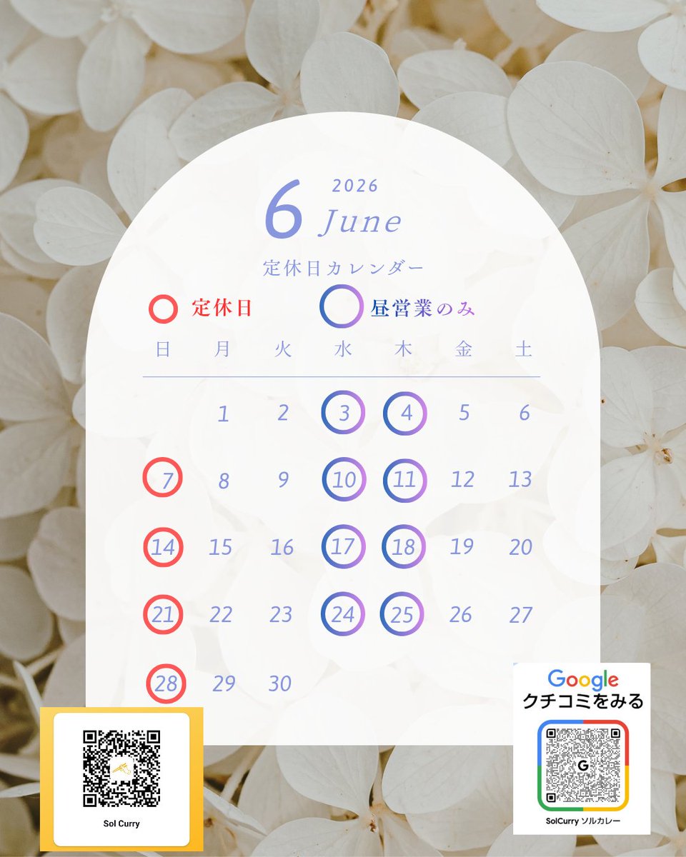 SolCurry【公式】 tweet media