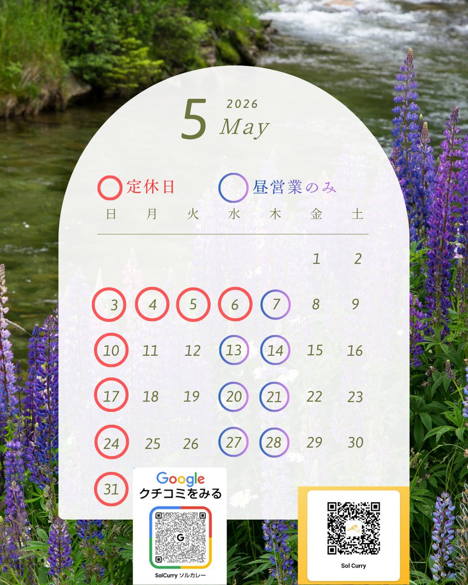 SolCurry【公式】 tweet media
