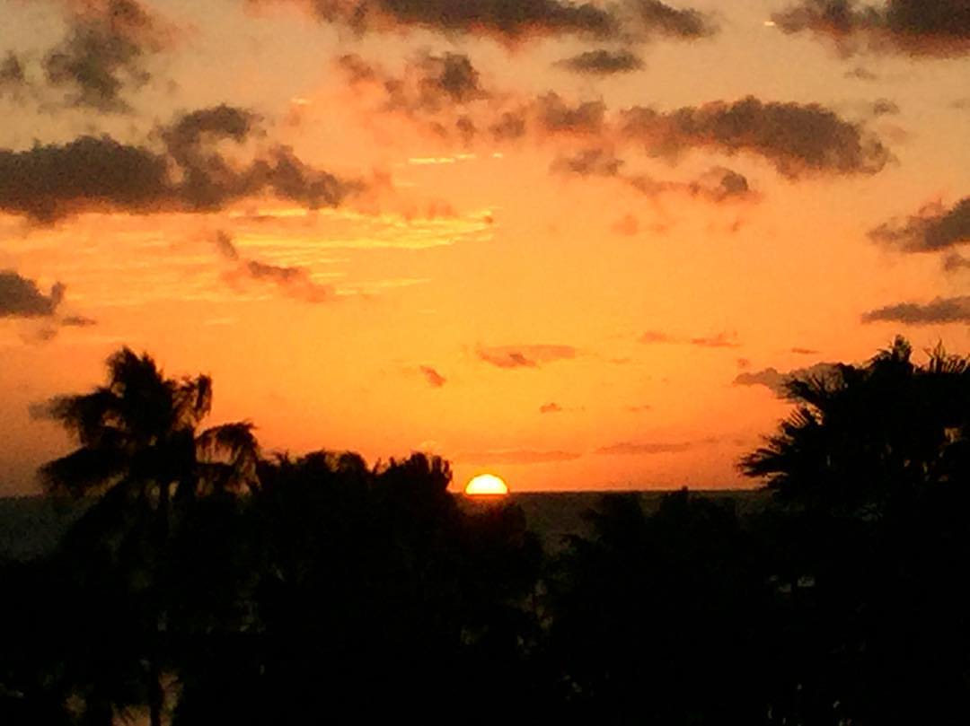 enriayon's tweet image. Chasing sunsets and finding peace 🌅#Sunset #GoldenHour #OceanView #TropicalVibes #BeachLife #SunsetLovers #NatureBeauty #SkyColors #EveningMood #IslandLife #TravelMoments #PeacefulVibes