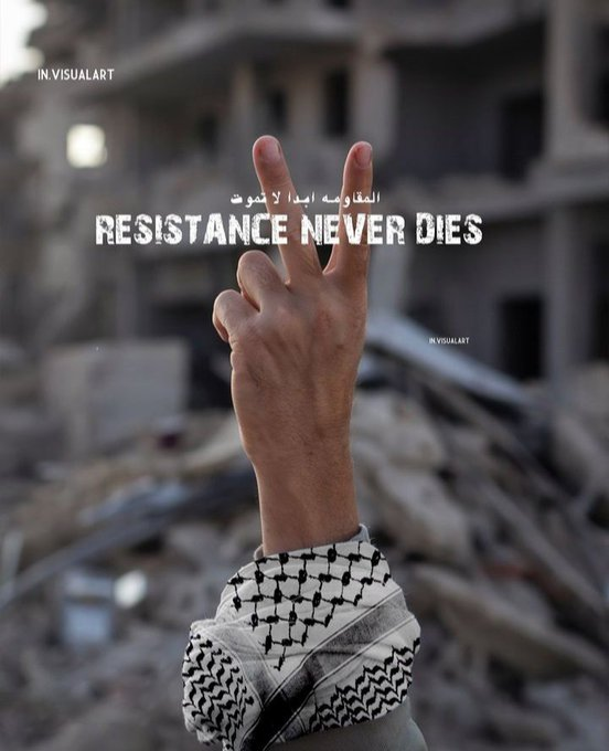 Naila Ayad🇵🇸 tweet media