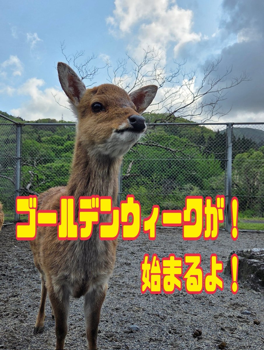 樽ケ橋遊園 tweet media