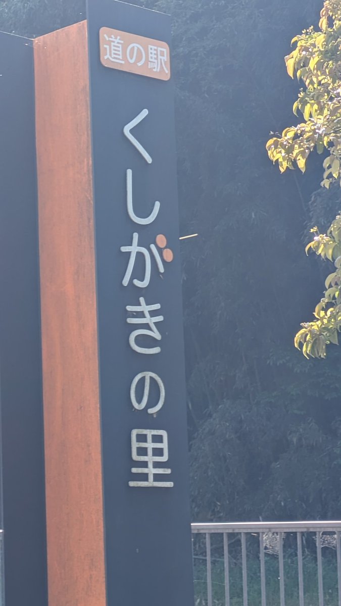 豆太 tweet media