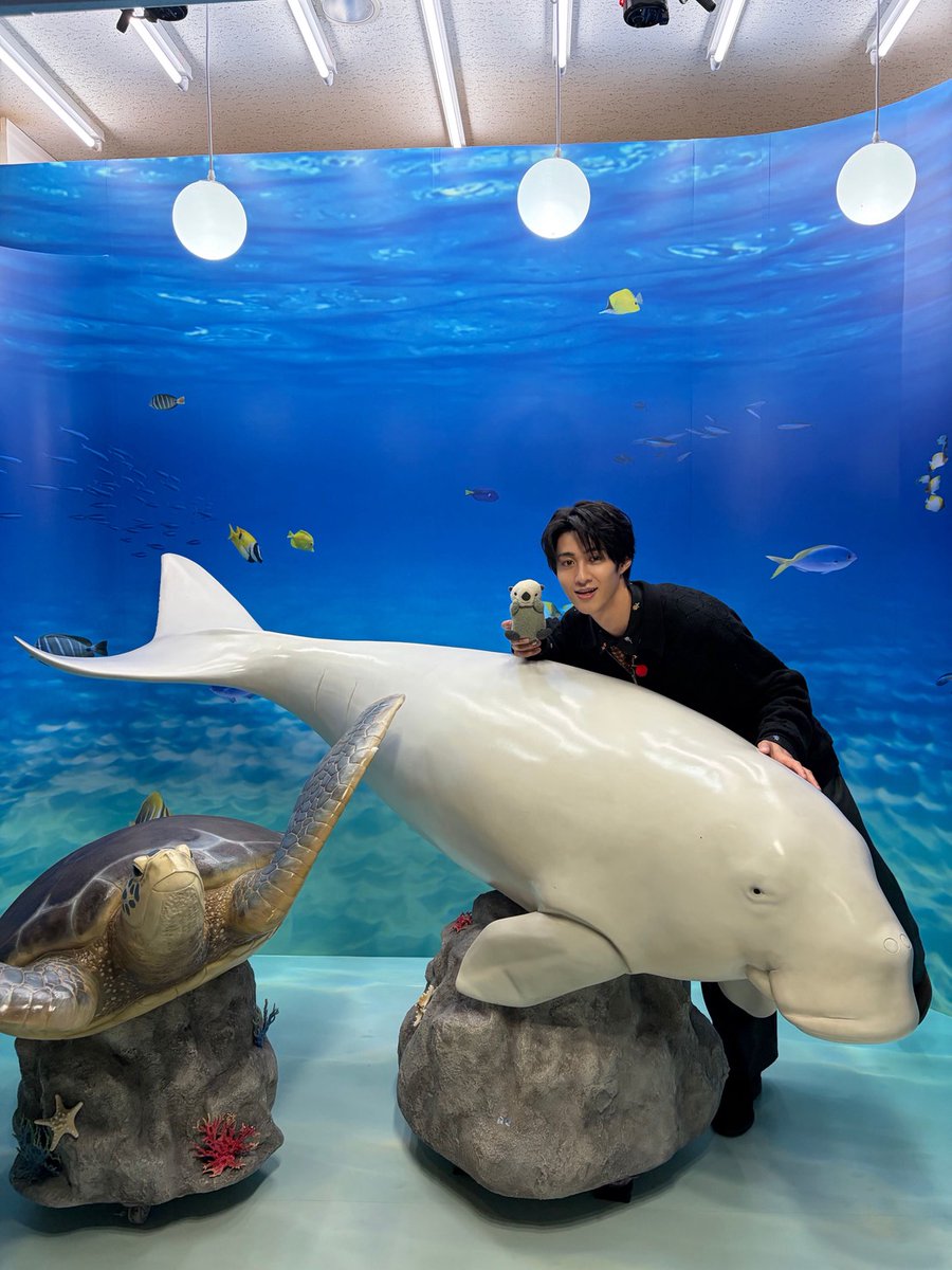 milk_info's tweet image. ／
このあと放送📣
＼
5月2日(土)10:23〜放送
東海テレビ「スイッチ！サタデー」(東海ローカル)に
M!LKより #曽野舜太 がVTR出演します！

ぜひ、お楽しみに！
@thk_switch
#MILK