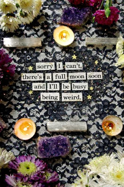 SubRosa )✿( Magick @subrosamagick.bsky.social tweet media