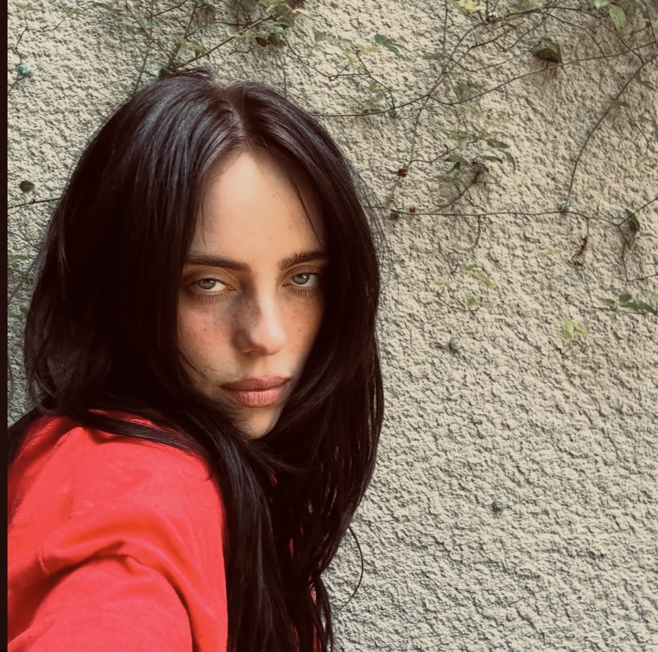 btchesbrkenhrtz's tweet photo. yall can call billie annoying all you want but to fix ur lips to try and call her ugly is insanity because it never in a million years ever gave that, next discourse pls https://t.co/u4zFFKaA18