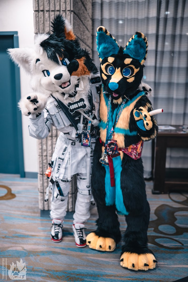 AnubisTenebrous's tweet photo. My friend Eiko (the techwear dog) and I wish you a happy #FursuitFriday :) @EikoTheCollie 
📸 @tobeecoyotee https://t.co/1sW6lNZk7N