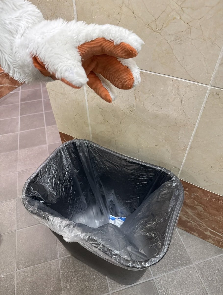 WildWingANA's tweet photo. looks like we wont be needing this https://t.co/ca6Hg7QXgZ