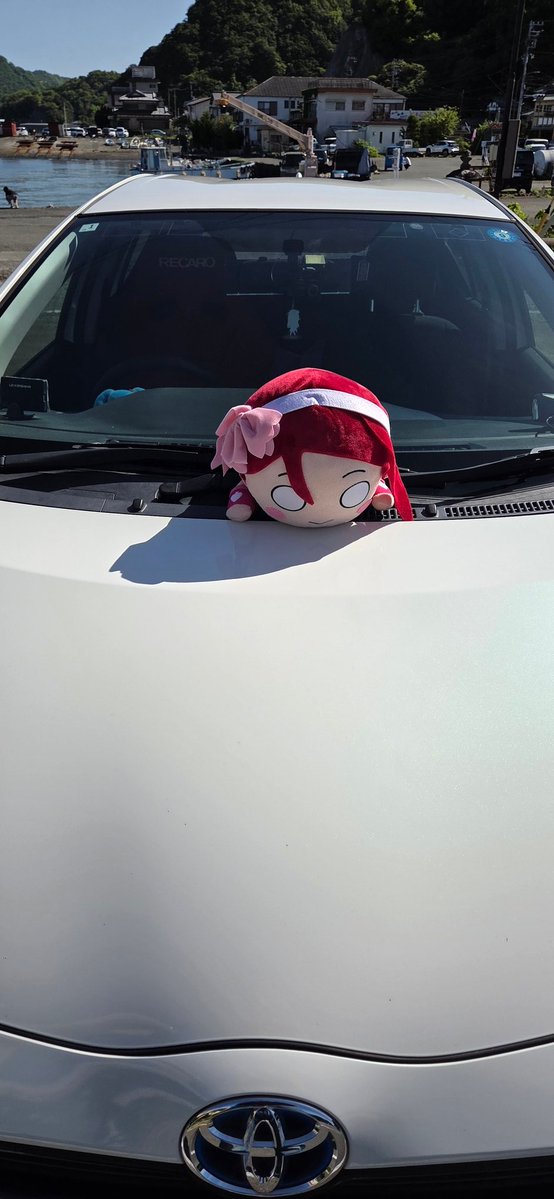 山梨大好きしゅが～ tweet media