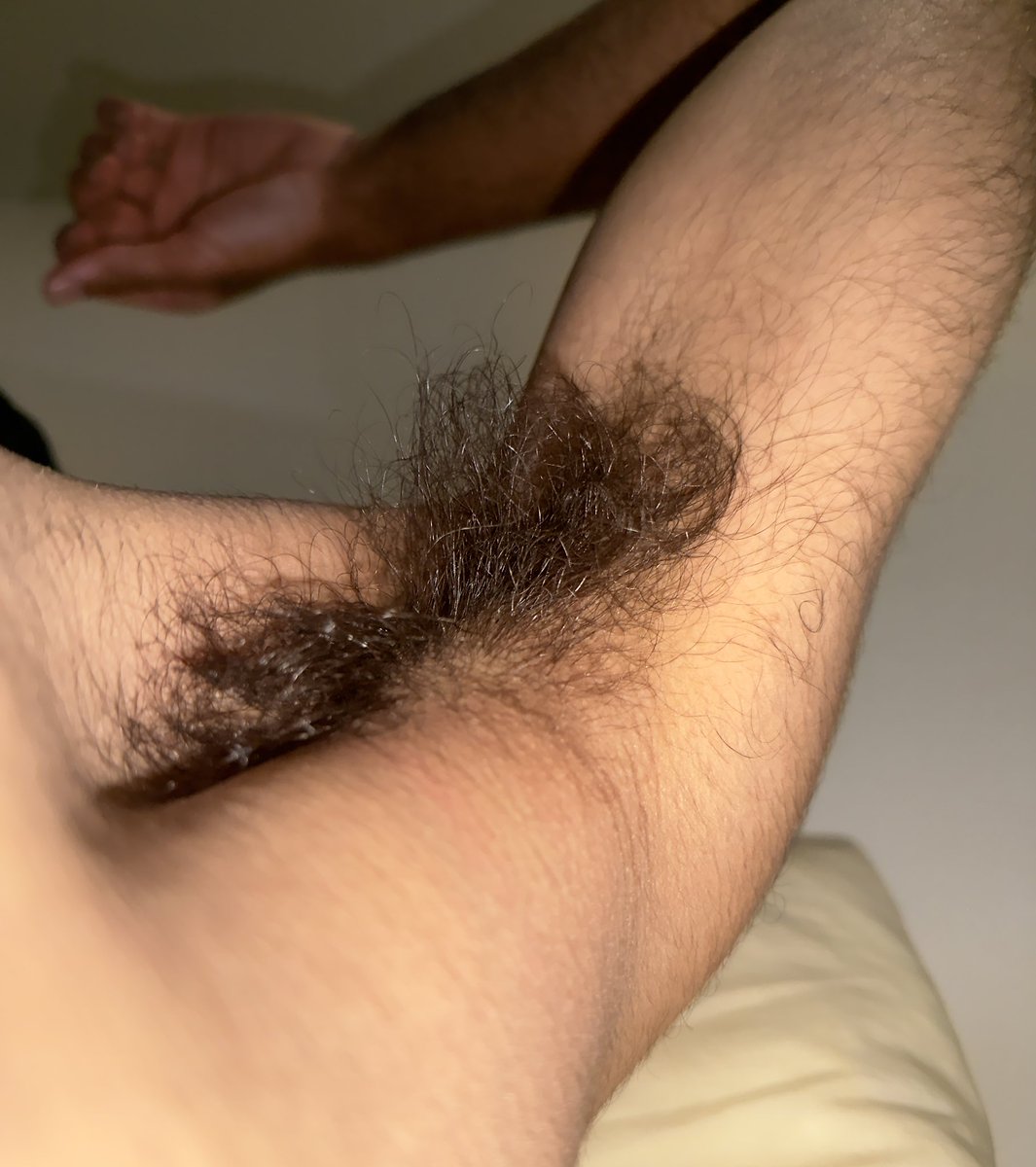 Rebeu-Hairy 🇩🇿🇫🇷🏳️‍🌈 tweet media