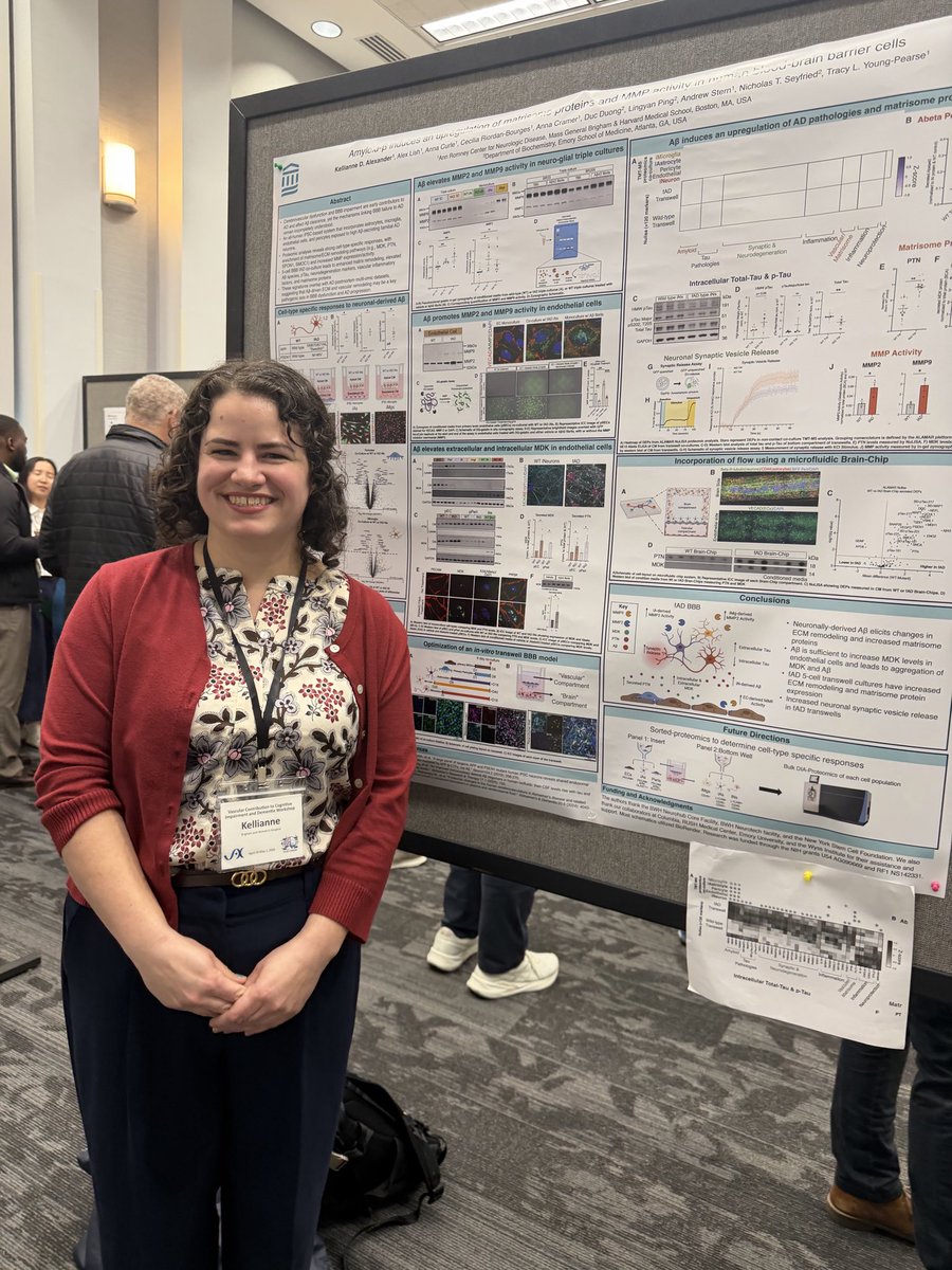 YoungPearseLab's tweet photo. We had the opportunity to present our work using iPSC models to study vascular dysfunction in AD at the Vascular Contributions to Cognitive Impairment (VCID) workshop at WashU! Great conversations and new connections. Grateful to be part of such an impactful meeting! #VCID2026 https://t.co/D6SMJ7rvIX