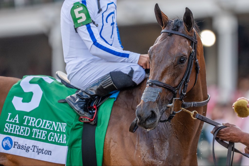 Spendthrift Farm tweet media
