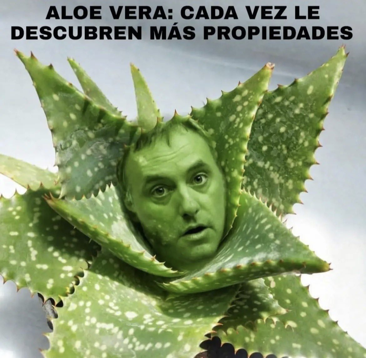 Nestor Armando tweet media