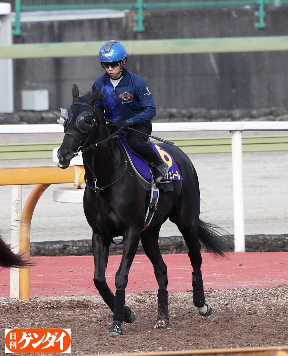 日刊ゲンダイ 競馬 on X: 