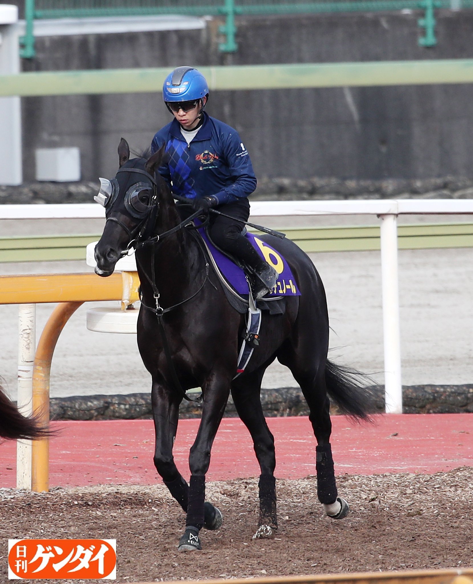 日刊ゲンダイ 競馬 on X: 